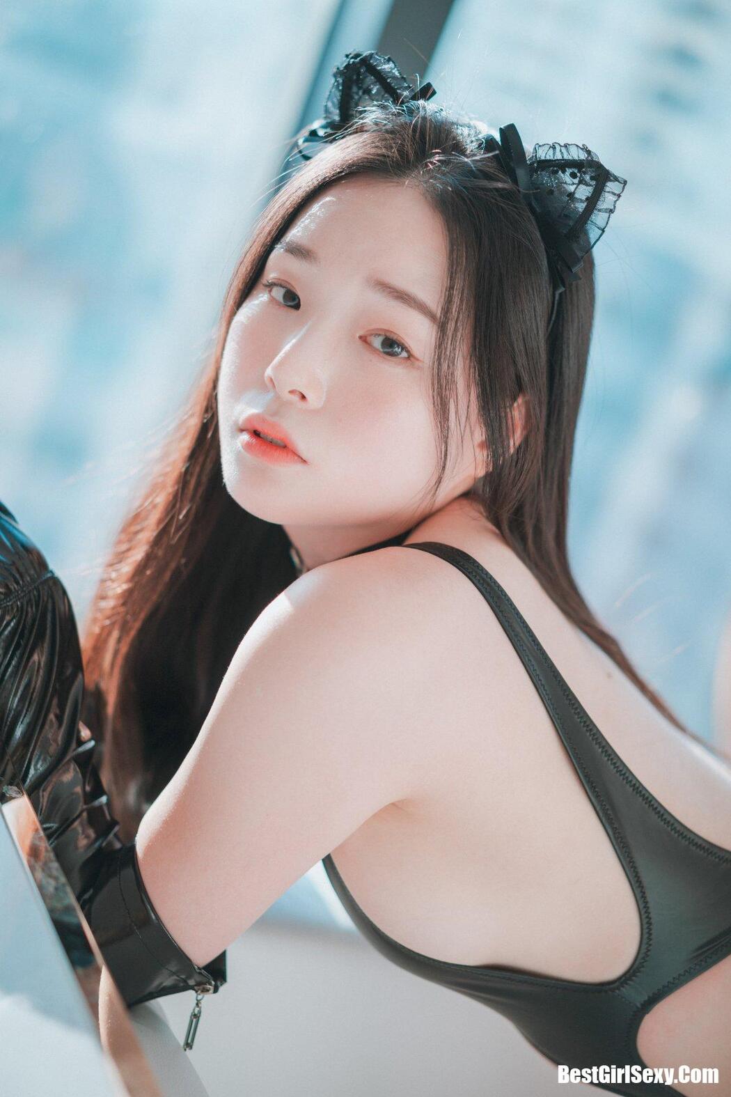 DJAWA Pia (피아) Black Cat & Gold Python