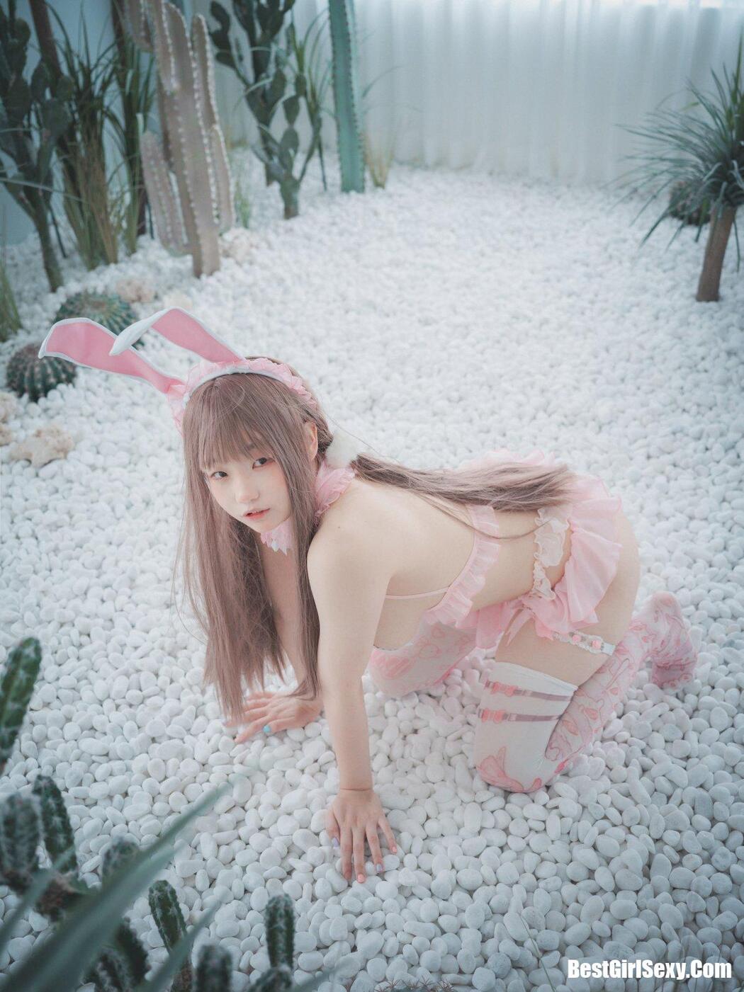 DJAWA Mimmi (밈미 March Hare