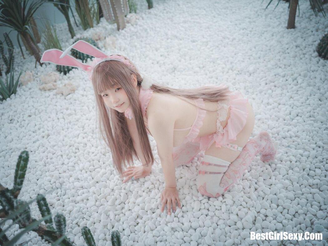 DJAWA Mimmi (밈미 March Hare