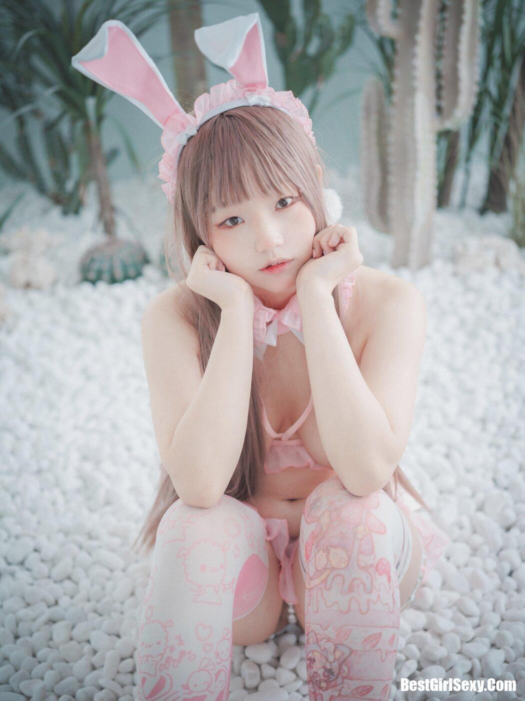 DJAWA Mimmi (밈미 March Hare