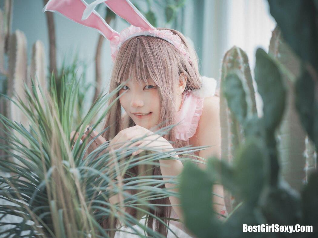 DJAWA Mimmi (밈미 March Hare