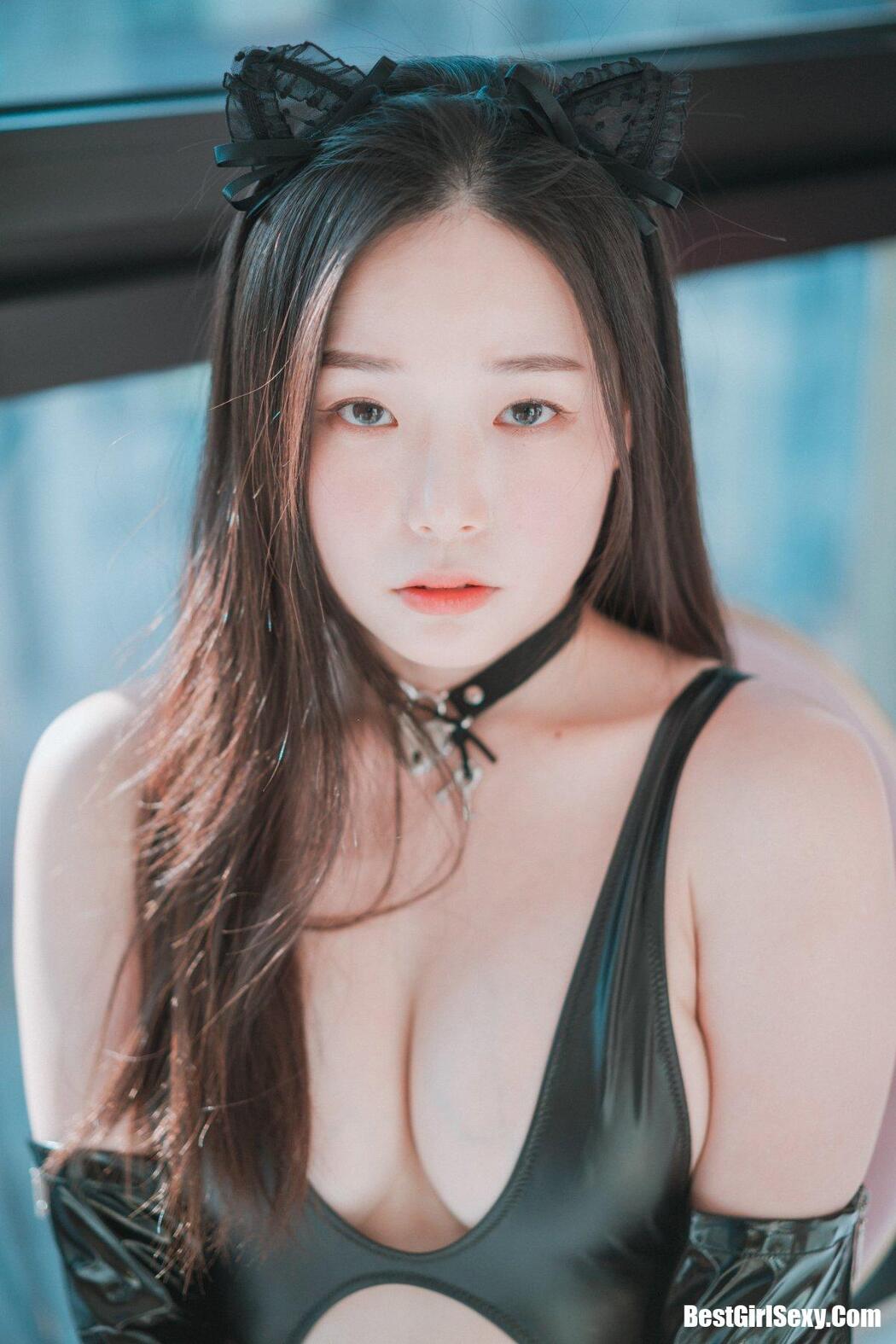 DJAWA Pia (피아) Black Cat & Gold Python