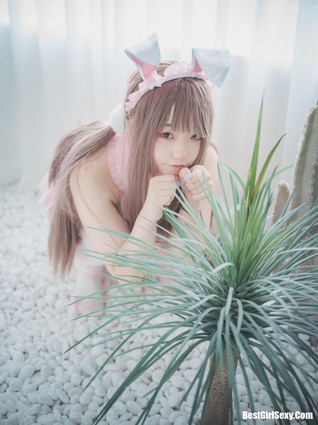 DJAWA Mimmi (밈미 March Hare