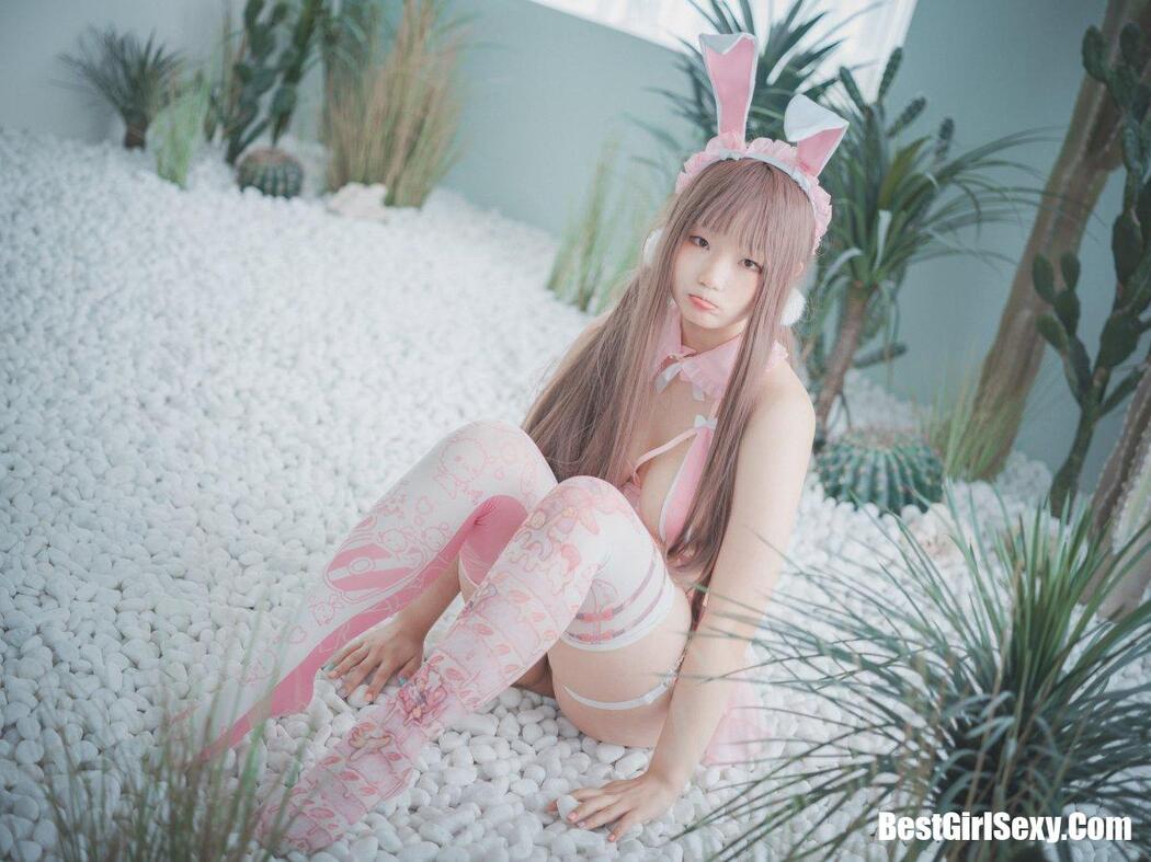 DJAWA Mimmi (밈미 March Hare