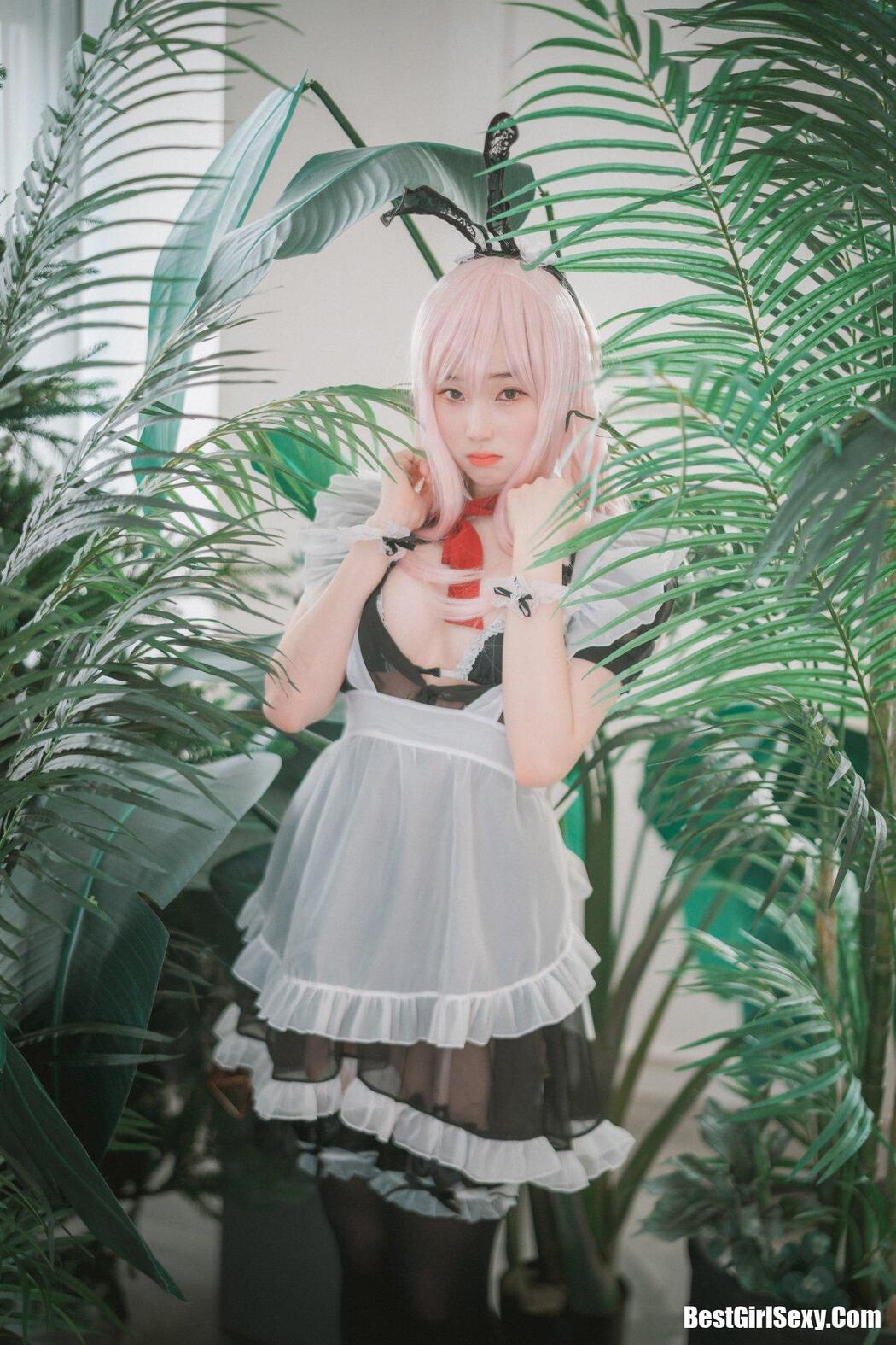 DJAWA 밤비 Sheer Bunny Maid