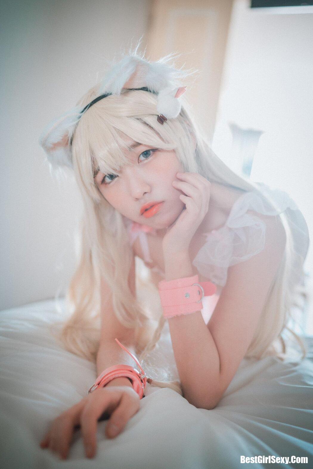 DJAWA 손손 Gata Rosa