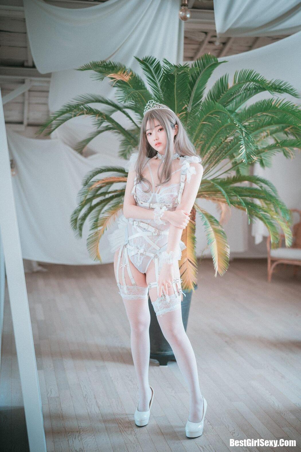 DJAWA 밤비 Reine de Blanc