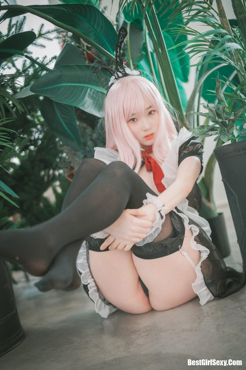 DJAWA 밤비 Sheer Bunny Maid