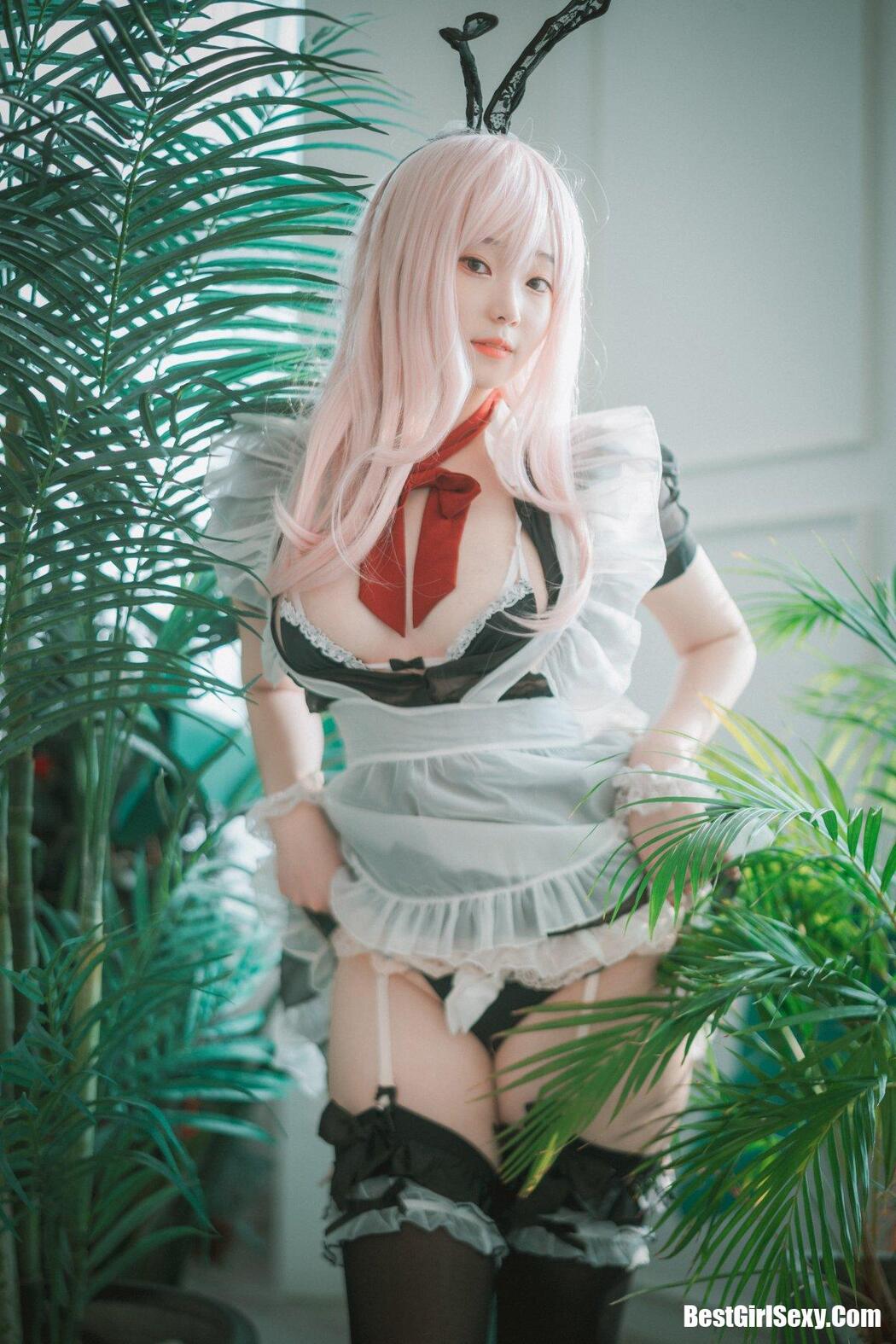 DJAWA 밤비 Sheer Bunny Maid