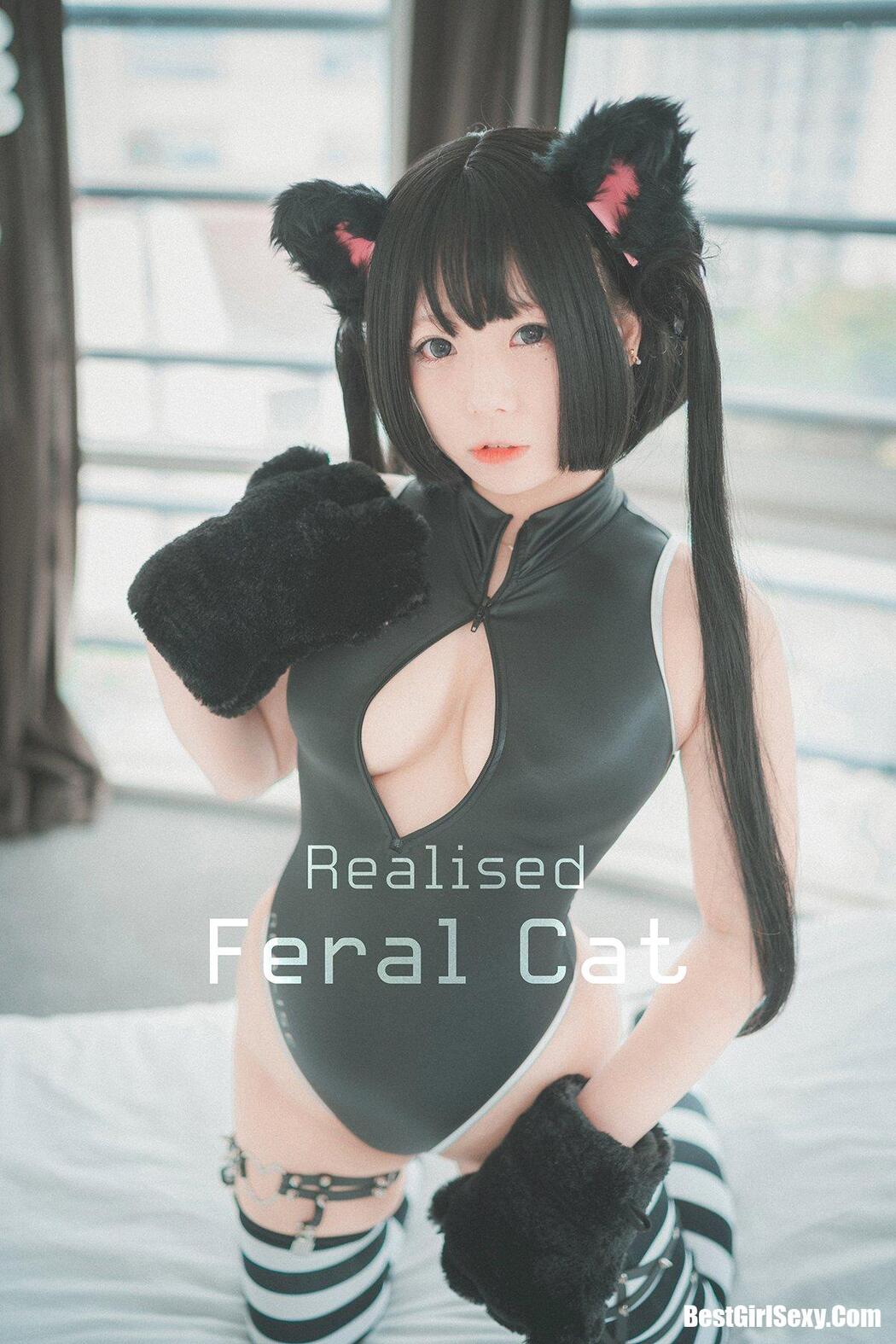 DJAWA 마루에몽 Realised Feral Cat Cover Photo