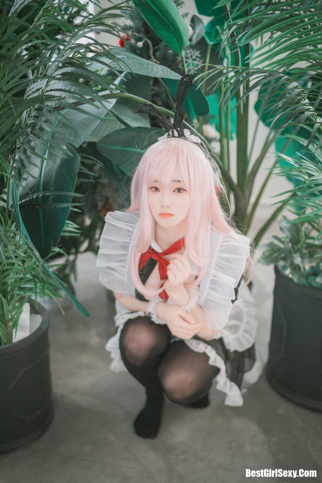 DJAWA 밤비 Sheer Bunny Maid
