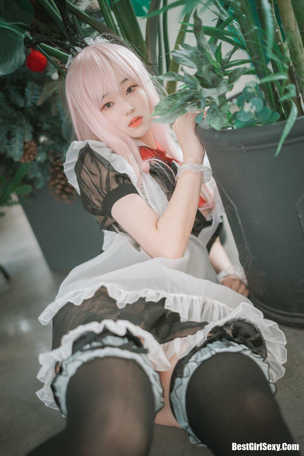 DJAWA 밤비 Sheer Bunny Maid