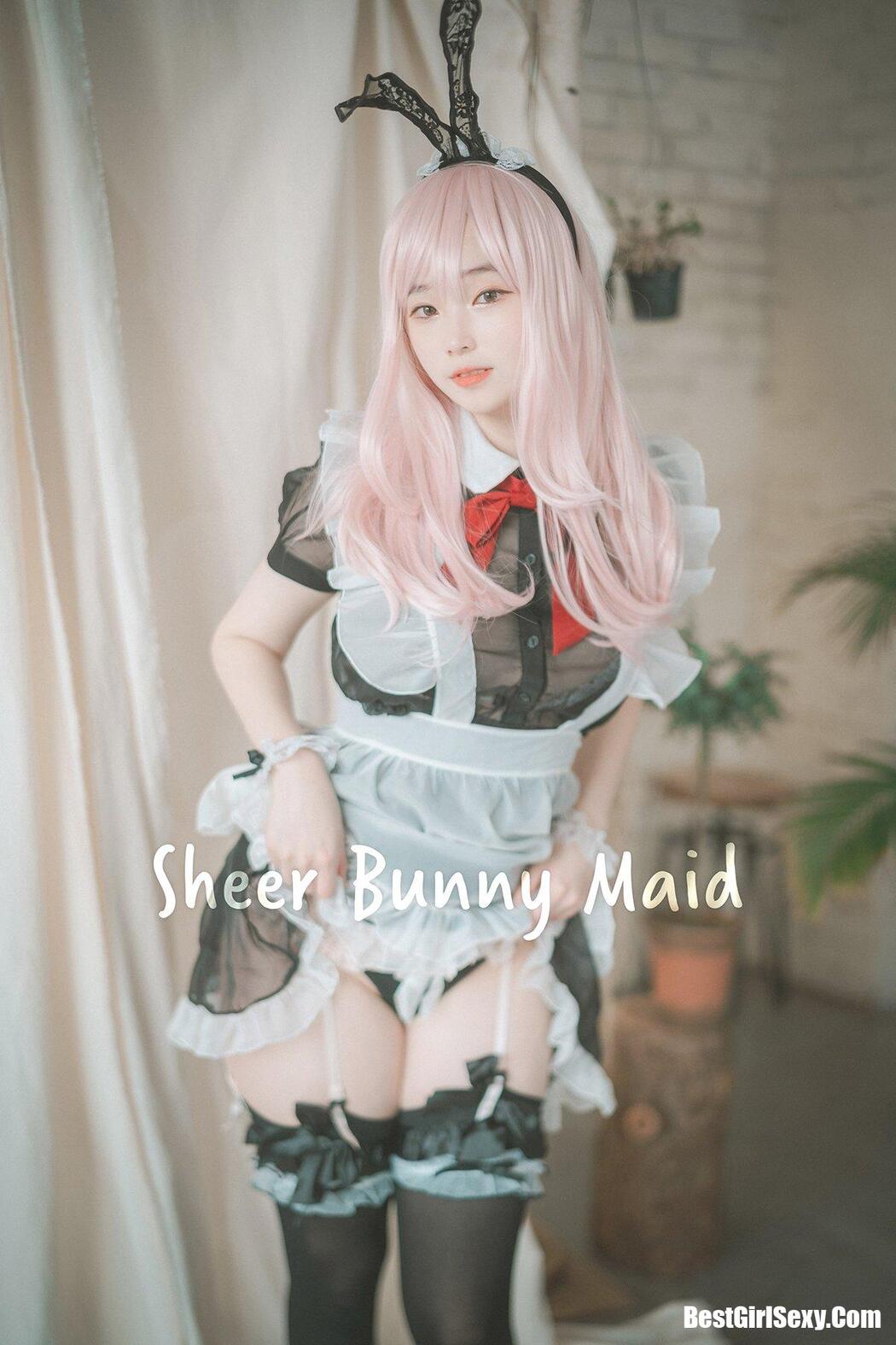 DJAWA 밤비 Sheer Bunny Maid Cover Photo