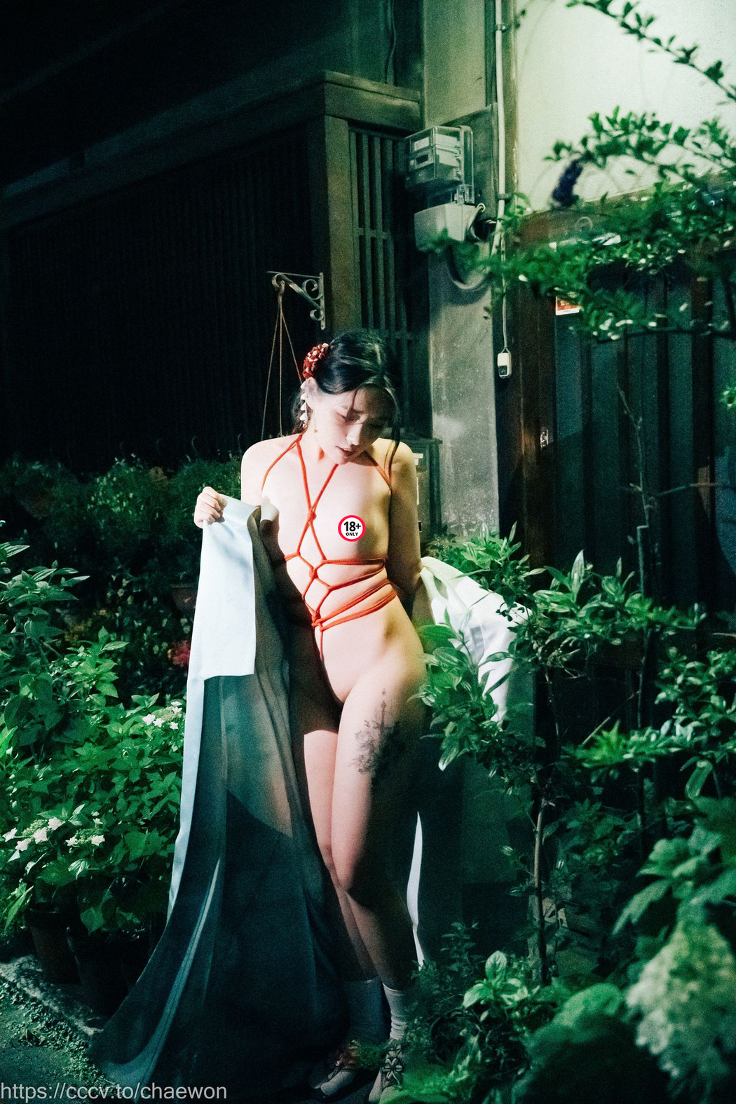 Loozy SonSon 손손 – Osakas
