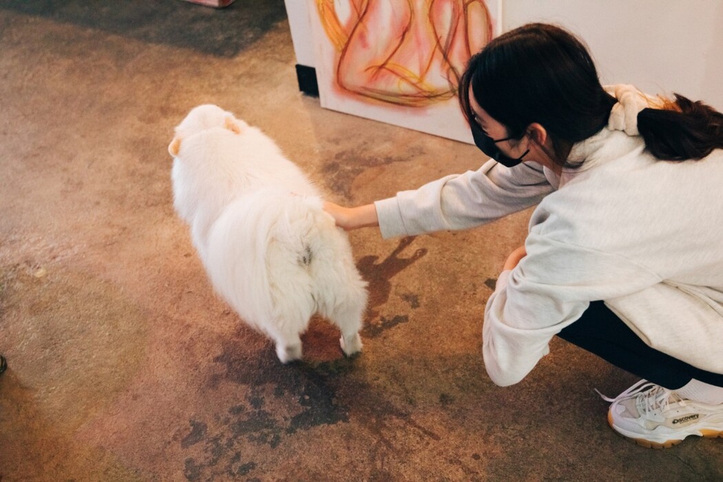 Loozy Sonson 손손 – Yano Date