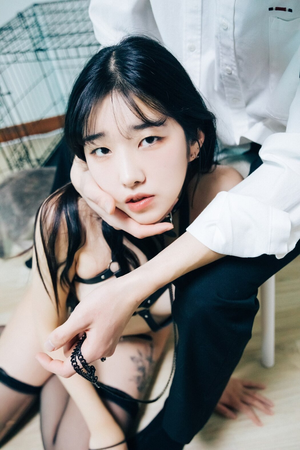 Loozy Sonson 손손 – Dog Plays
