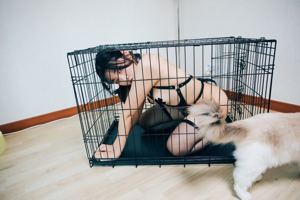 Loozy Sonson 손손 – Dog Plays