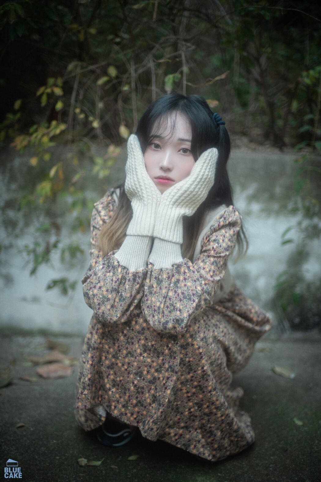 BLUECAKE Bambi 밤비 – Autumn