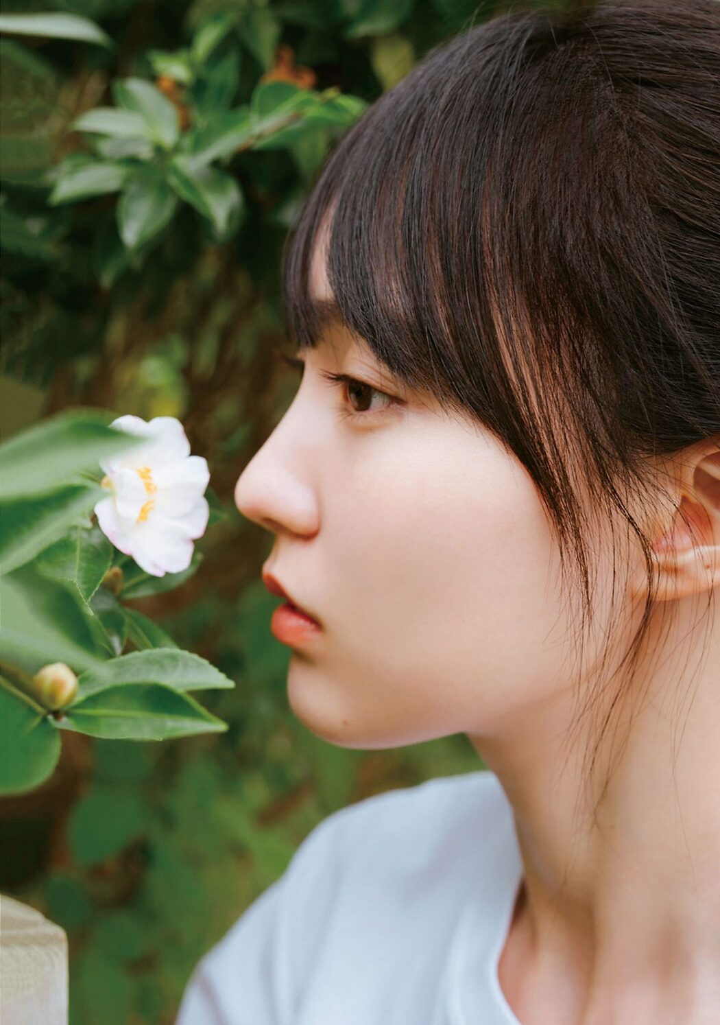 Young Magazine 2024 No.02-03 嘉喜遥香 柴田柚菜