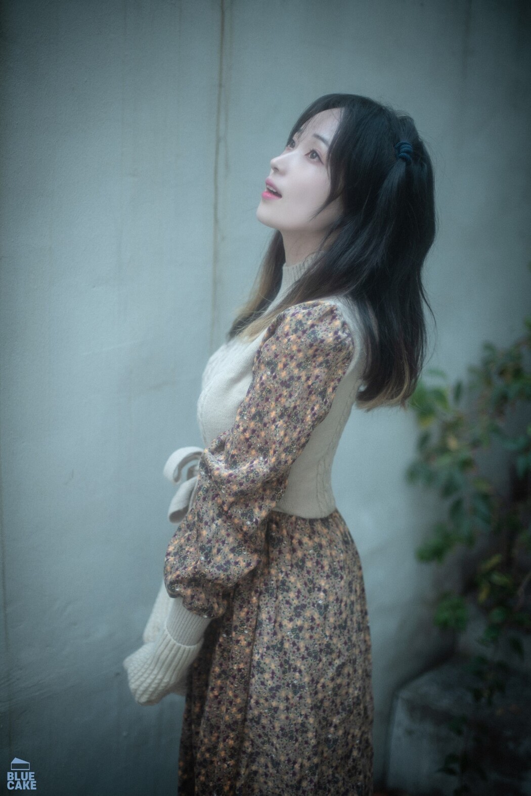 BLUECAKE Bambi 밤비 – Autumn