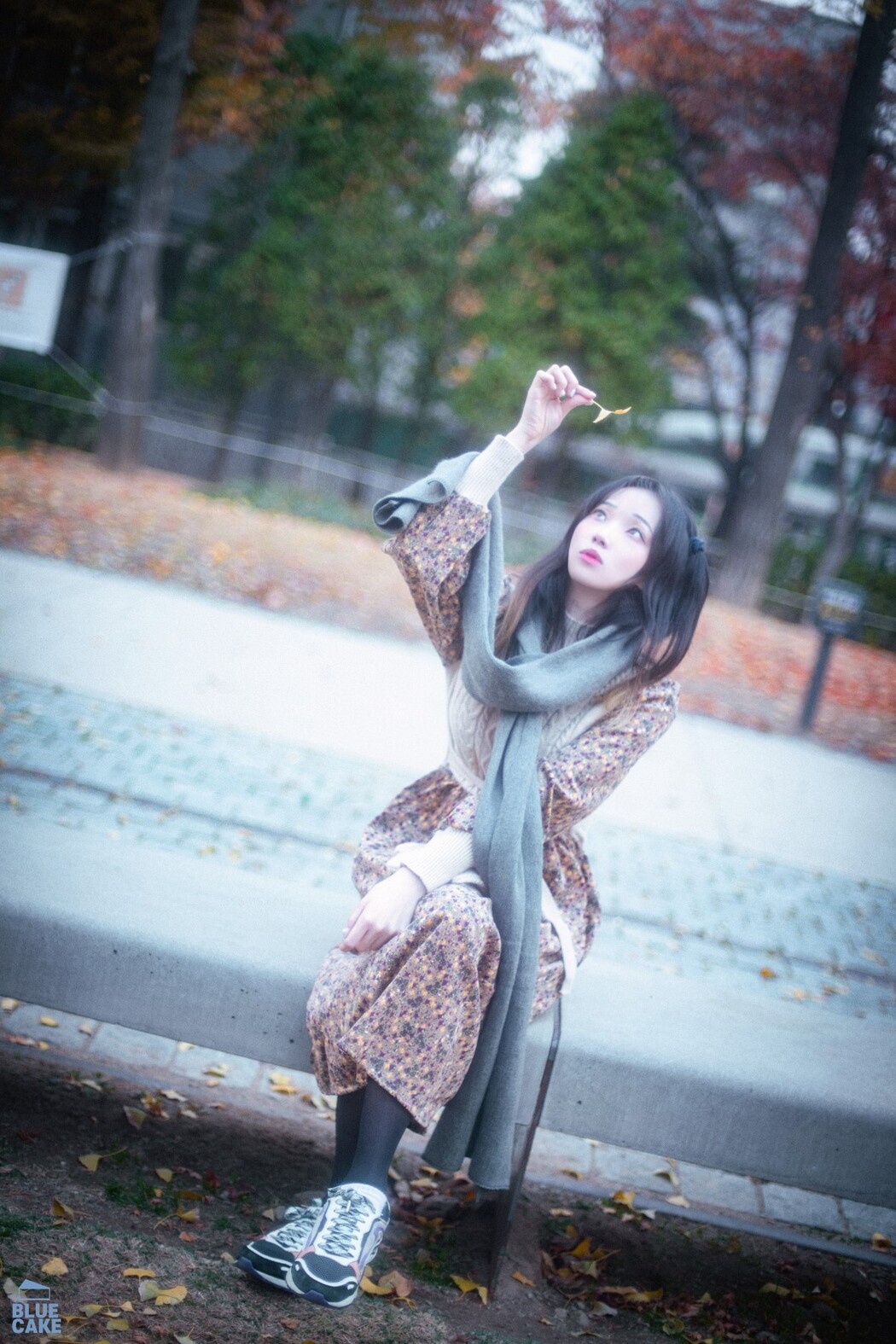 BLUECAKE Bambi 밤비 – Autumn
