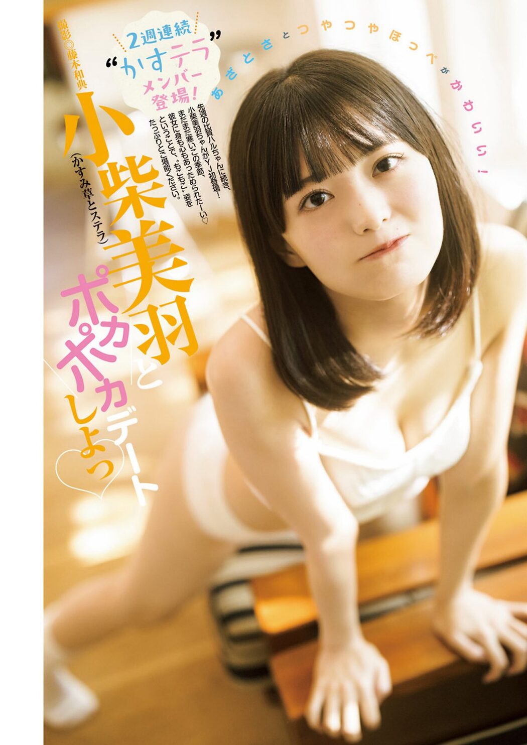 Weekly Young Jump 2024 No.13 青山なぎさ 小柴美羽 城間菜々美