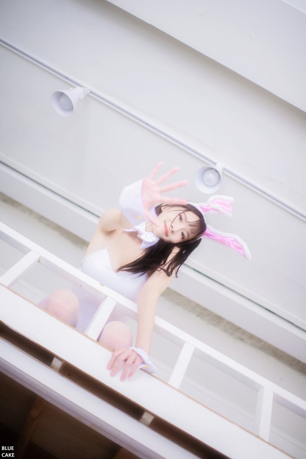BLUECAKE Ahrin White Black Bunny A