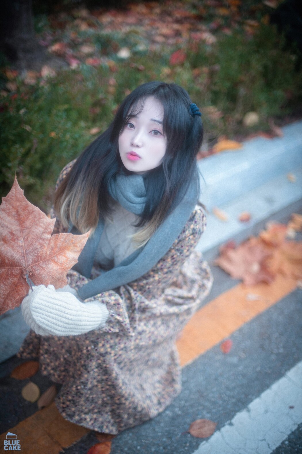 BLUECAKE Bambi 밤비 – Autumn