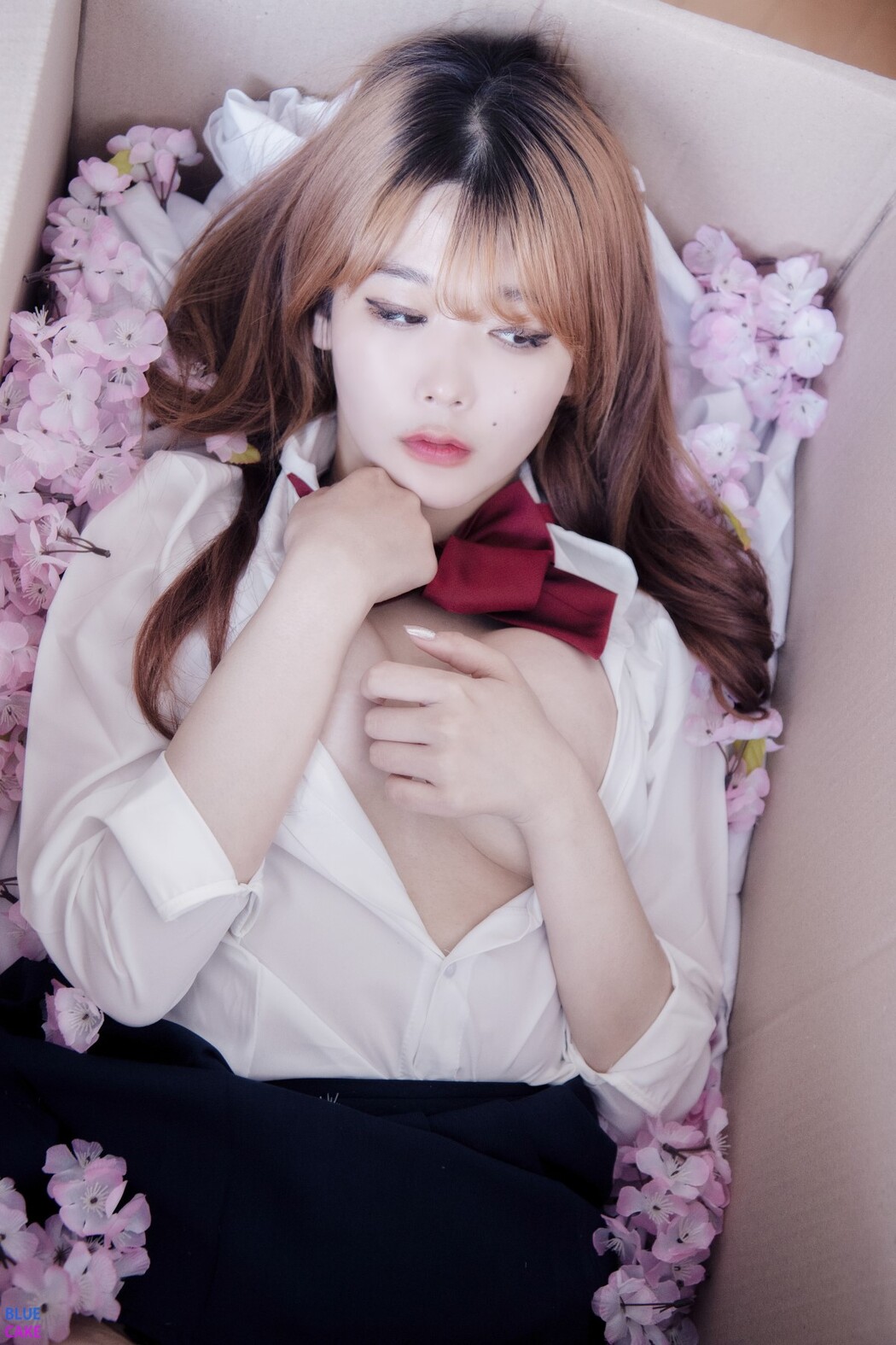 BlueCake Zia 지아 – Your Gift Birthday