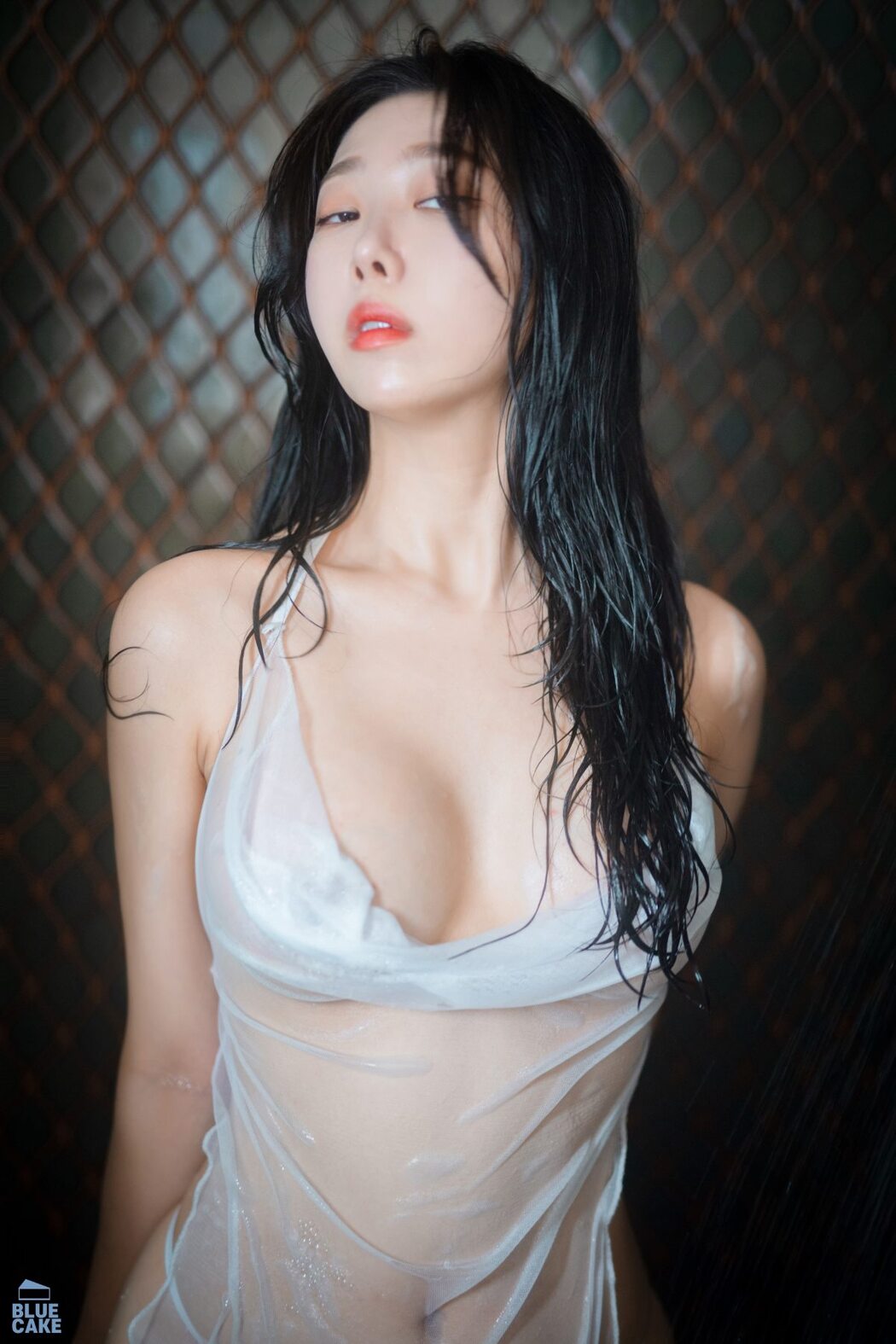 BlueCake Shaany – Wet B