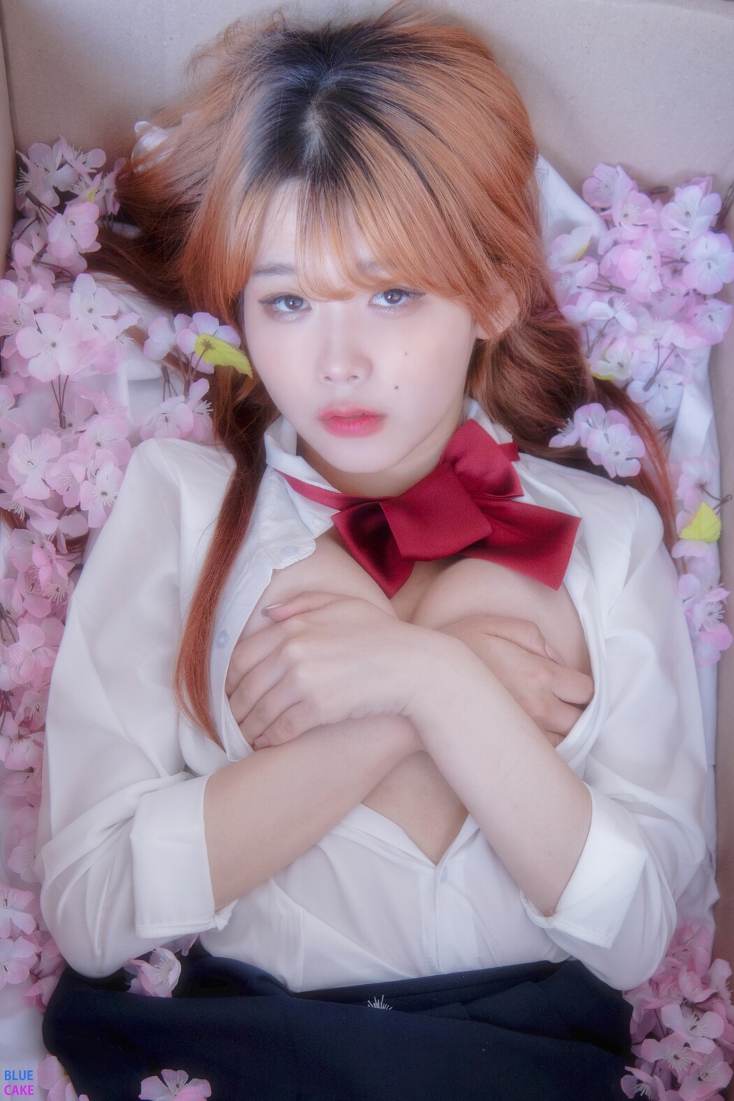 BlueCake Zia 지아 – Your Gift Birthday