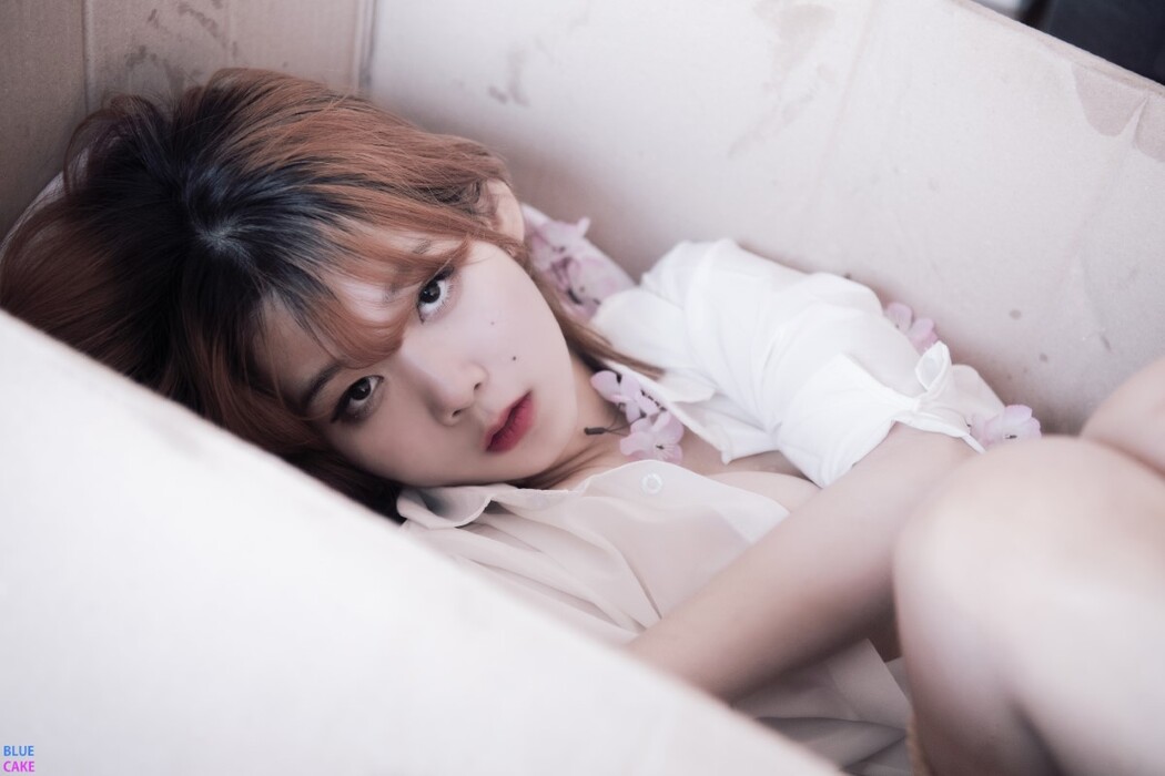 BlueCake Zia 지아 – Your Gift Birthday