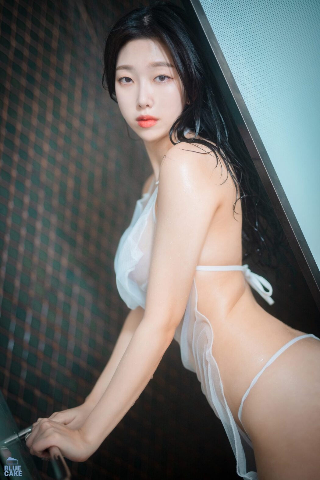 BlueCake Shaany – Wet B