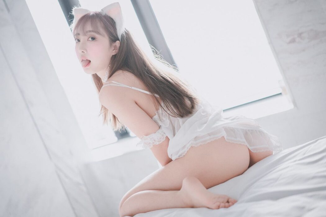 DJAWA HaNari 하나리 Snow Cat