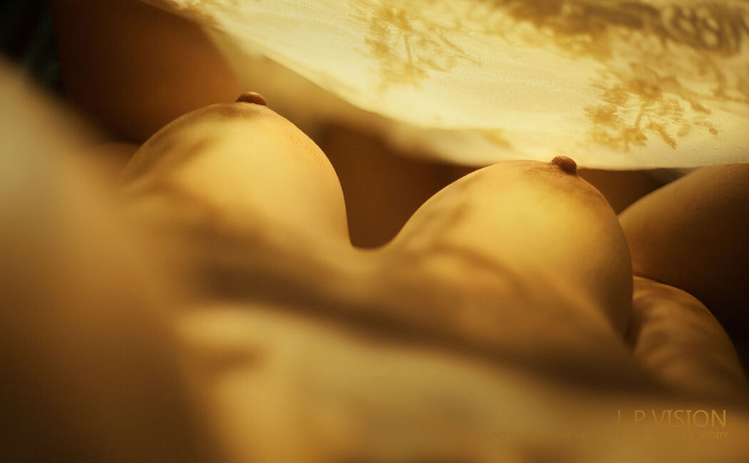 L.P.VISION Photography – 摄影大神 尺度艺术人体写真14套合集 Part07 (63P)