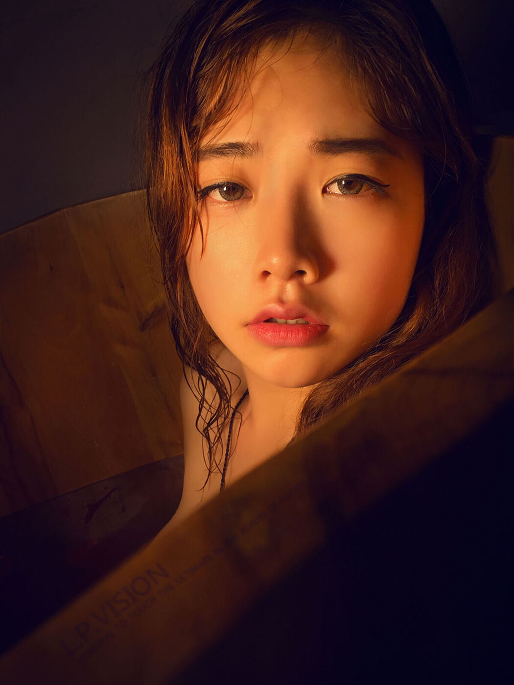 L.P.VISION Photography – 摄影大神 尺度艺术人体写真14套合集 Part06 (63P)