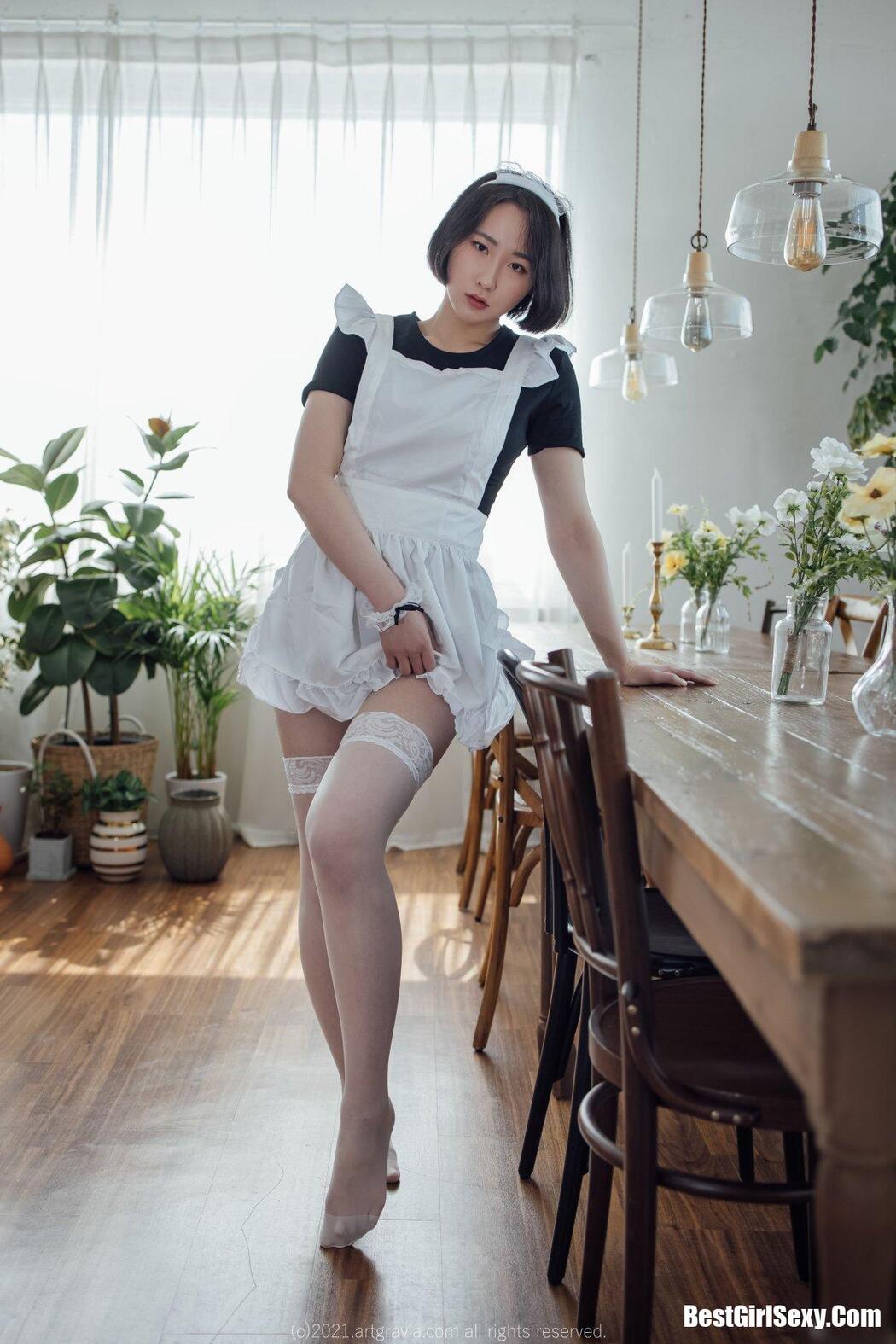 ARTGRAVIA VOL.283 Xero