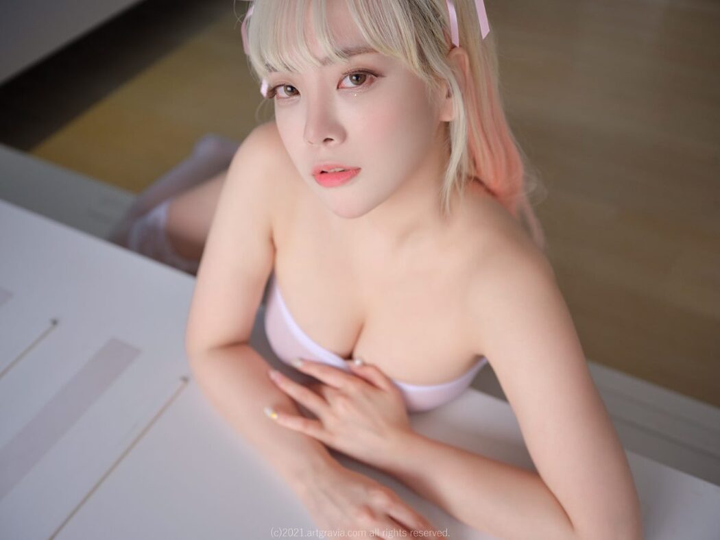 ArtGravia Vol.330 Dami