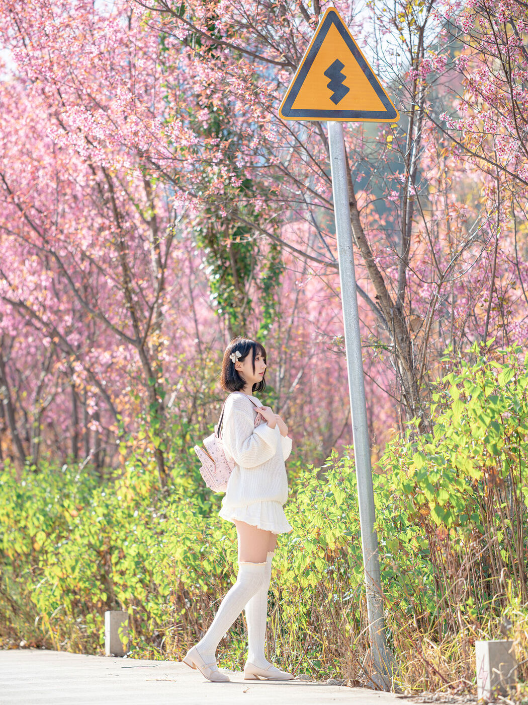 Coser@NAGISA魔物喵 – 桜 (65P)