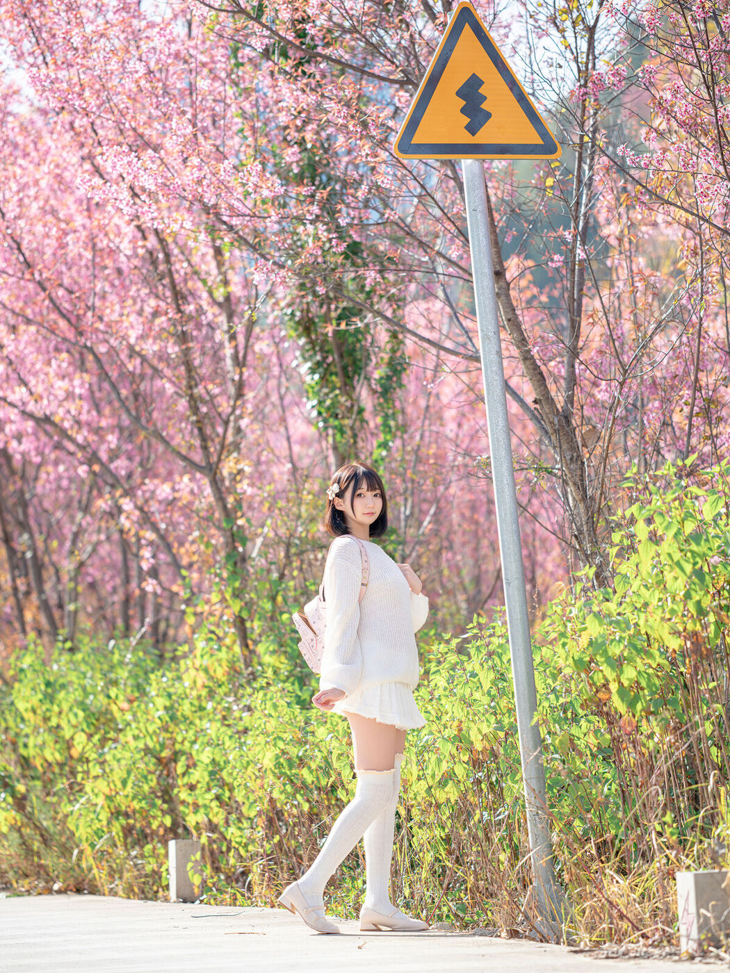 Coser@NAGISA魔物喵 – 桜 (65P)