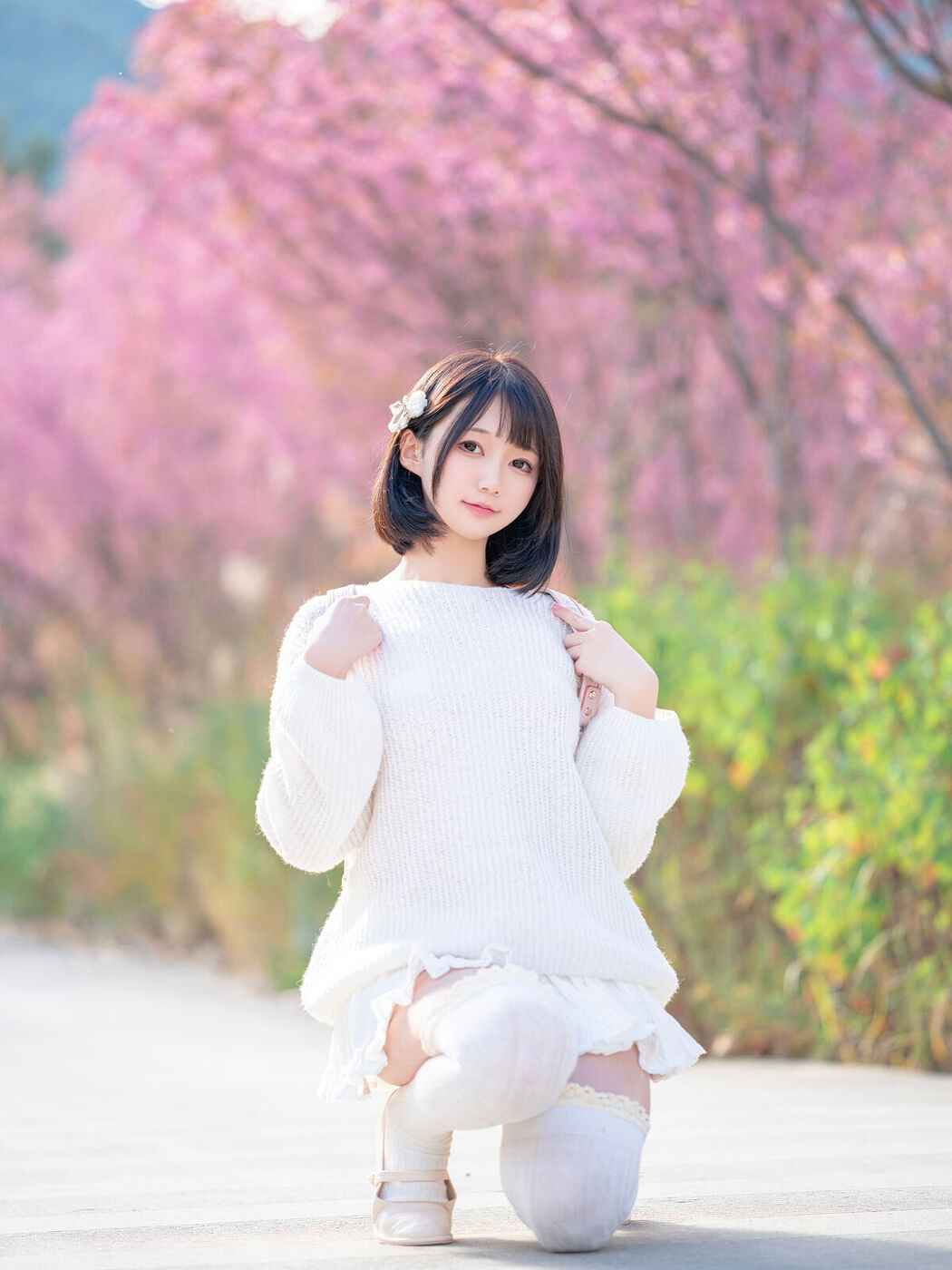 Coser@NAGISA魔物喵 – 桜 (65P)