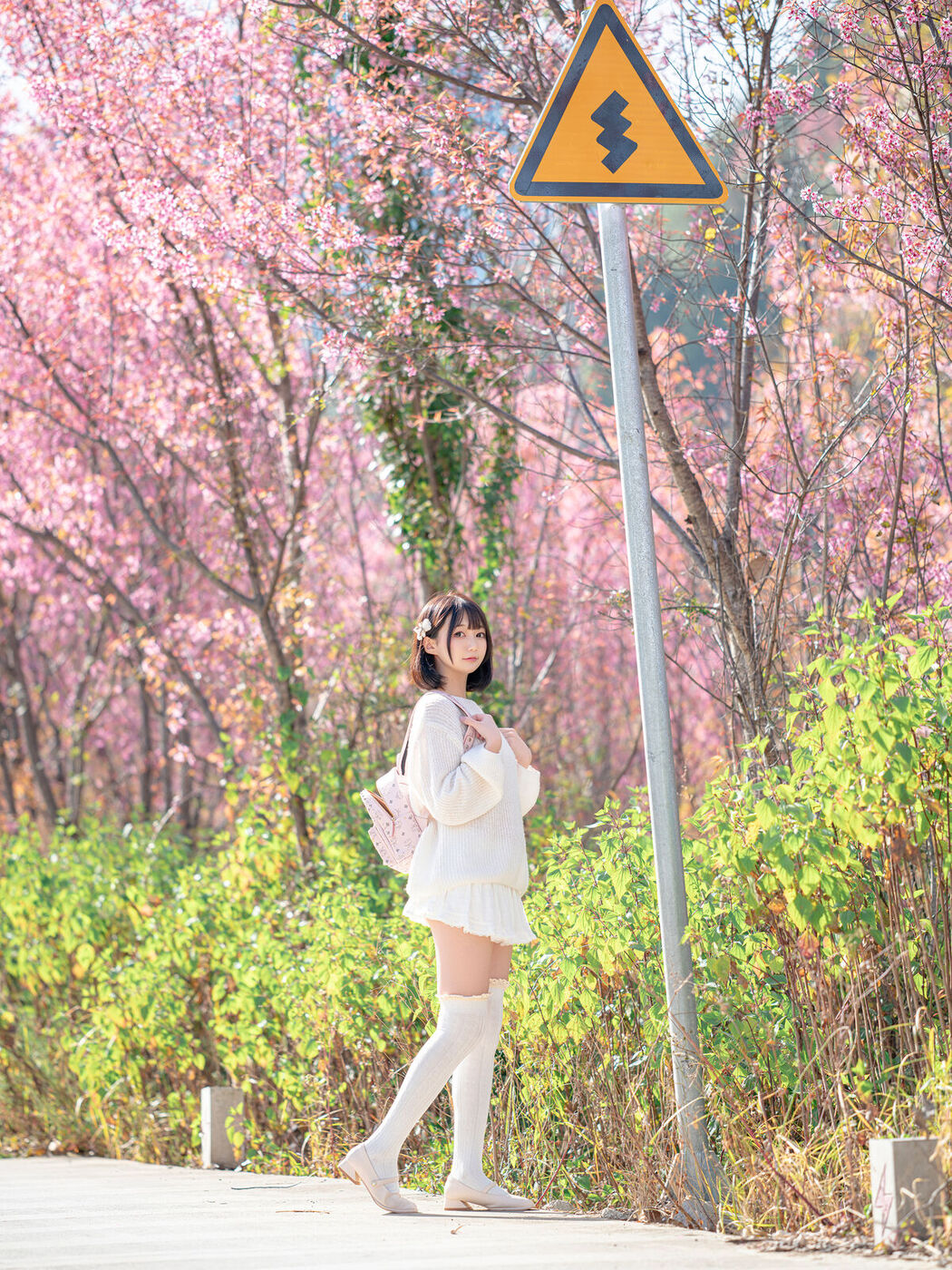 Coser@NAGISA魔物喵 – 桜 (65P)