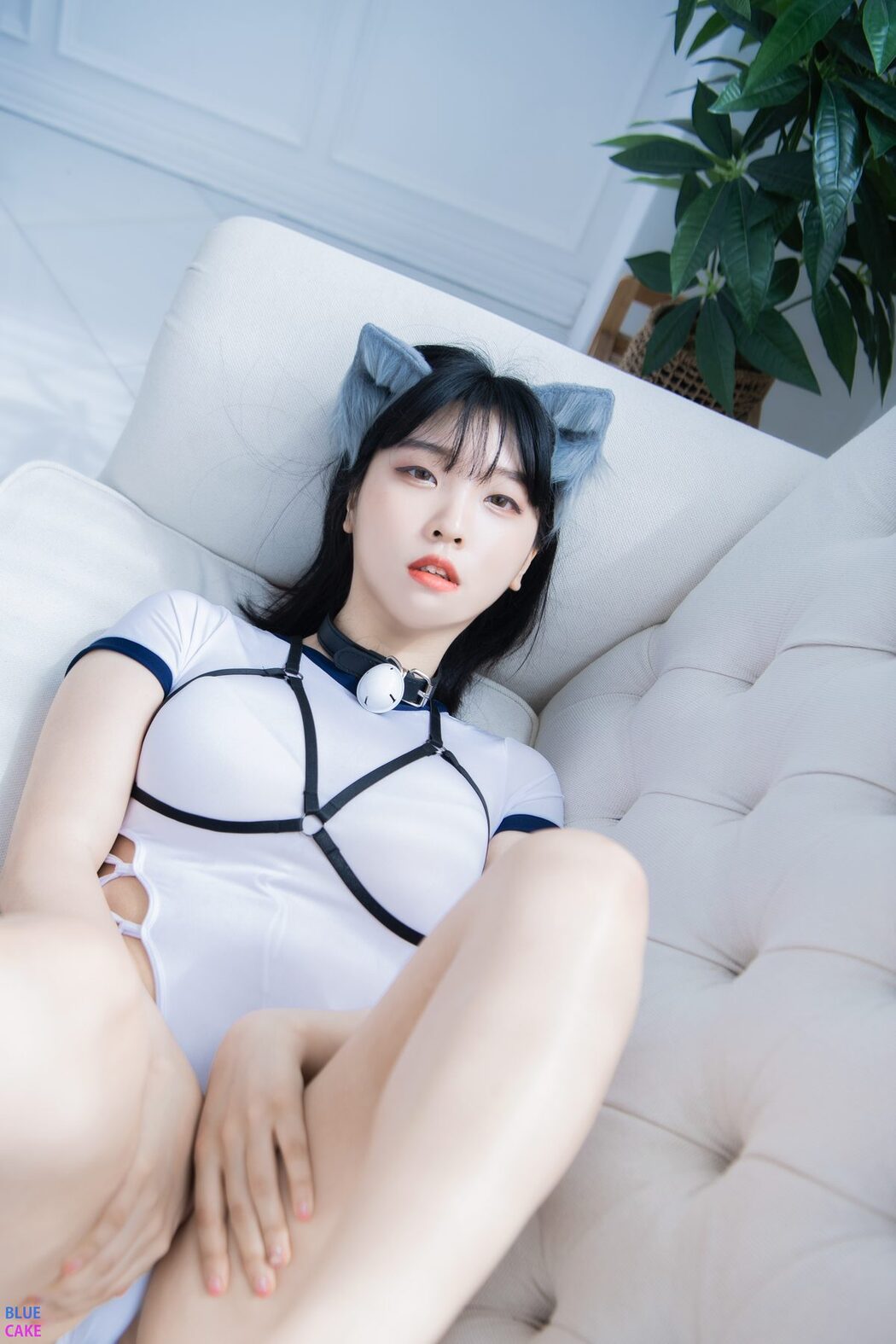 BlueCake Song Hana – Vol.017 Strange Cat