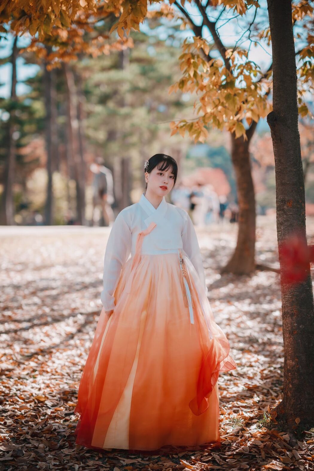 DJAWA ZziZzi – Chuseok A