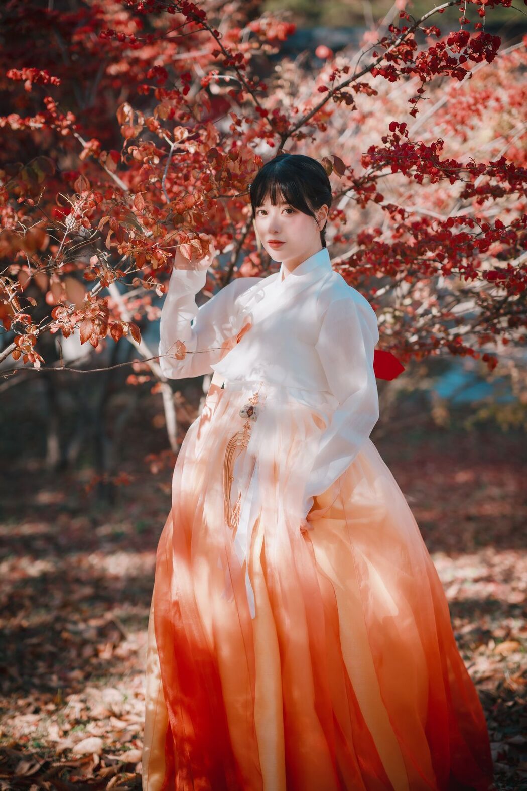DJAWA ZziZzi – Chuseok A