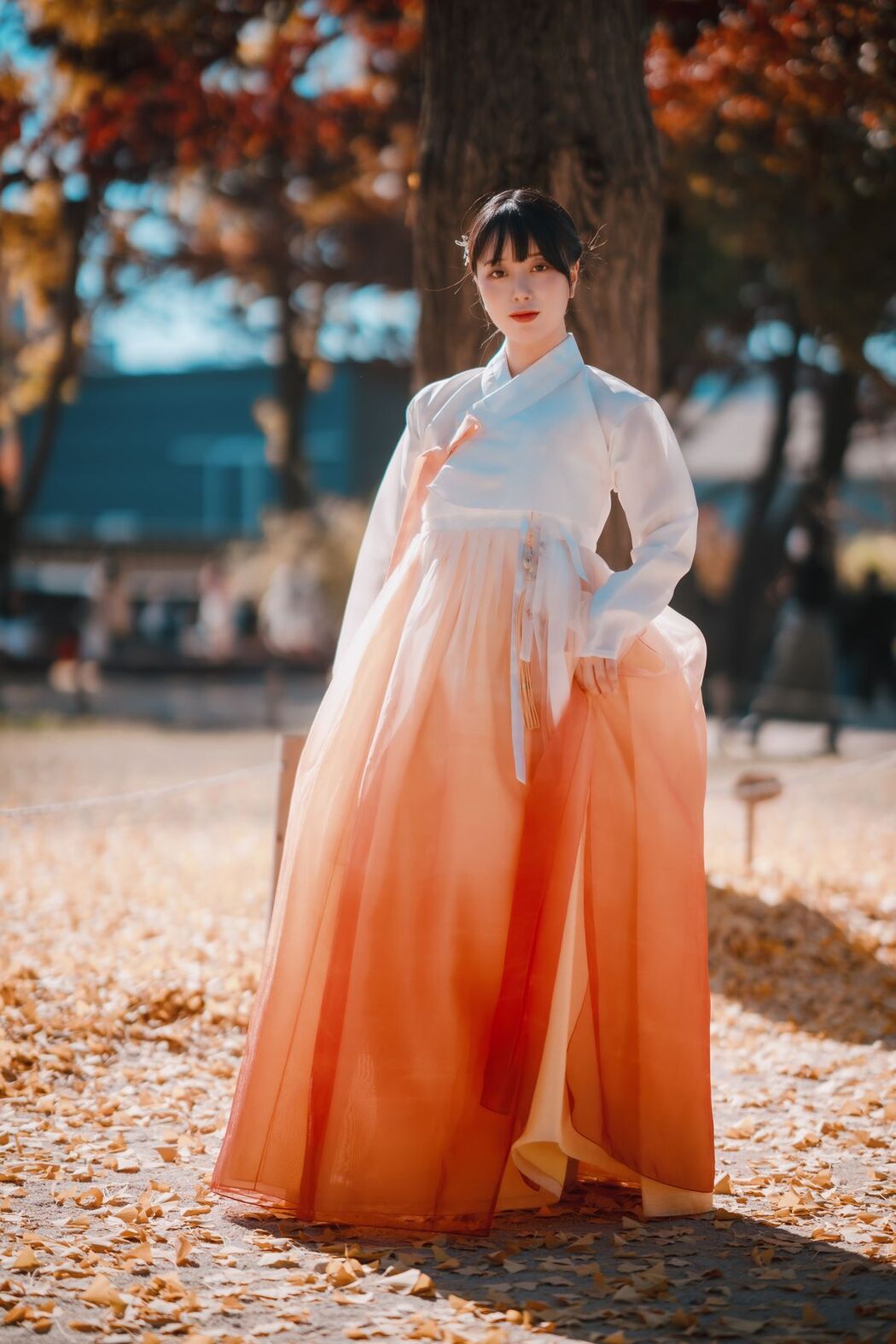 DJAWA ZziZzi – Chuseok A