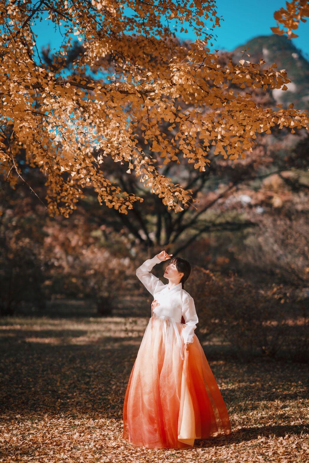 DJAWA ZziZzi – Chuseok B