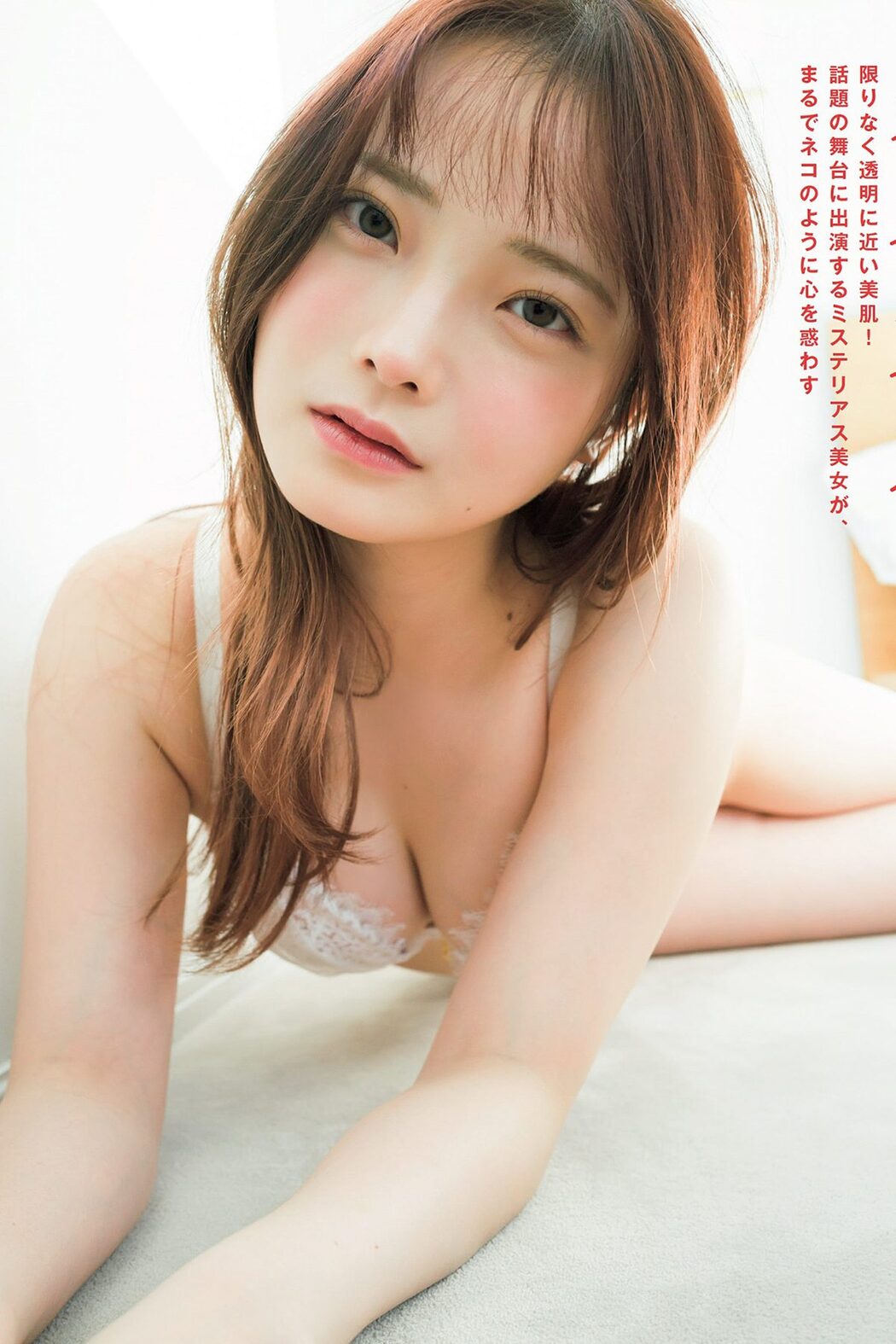 FLASH 2024.02.13 桃月なしこ 名取くるみ 新谷姫加 大久保桜子 白濱美兎 白石時 本間日陽 姫川せな Cover Photo