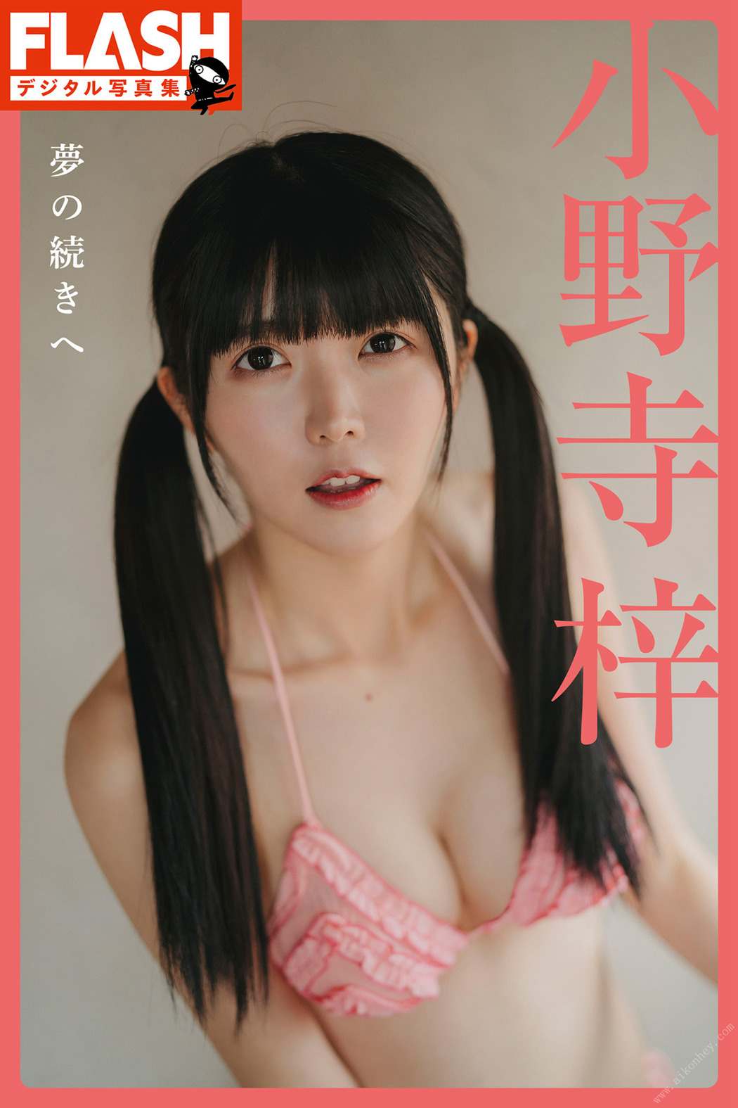 Photobook FLASHデジタル写真集 小野寺梓 夢の続きへ Cover Photo