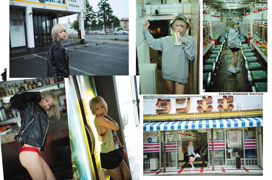 Platinum Flash Vol.17